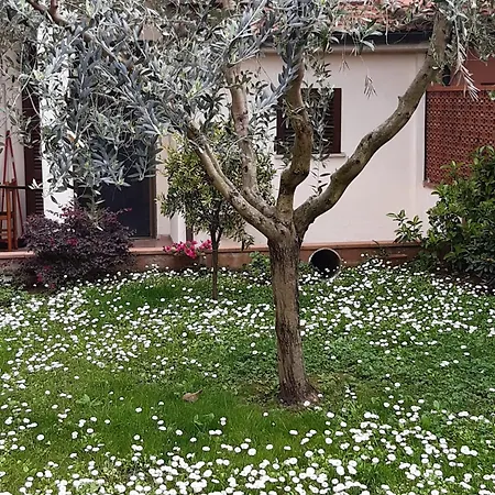 Bilocali Climatizzati Con Giardino E Posto Auto Apartament