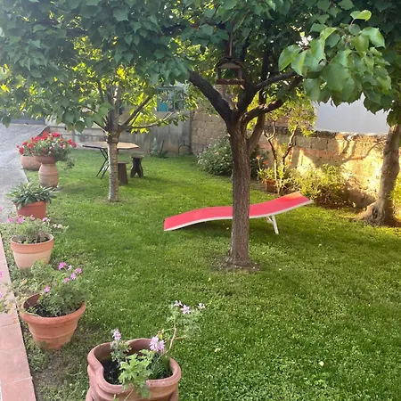 Apartament Bilocali Climatizzati Con Giardino E Posto Auto Follonica
